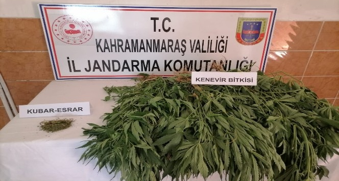 Kahramanmaraş’ta uyuşturucu operasyonu