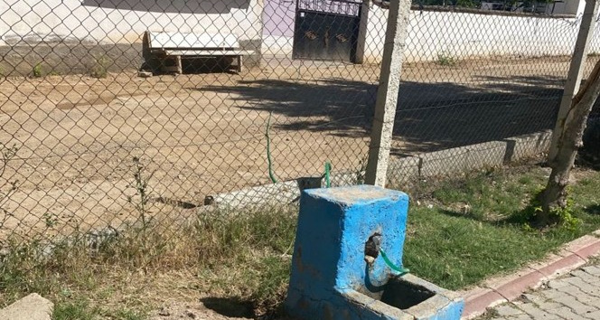 Parktan evine hortumla şu çeken şahıs yakalandı