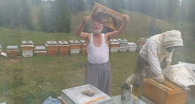 Gömleğini çıkarıp arıları sevdi