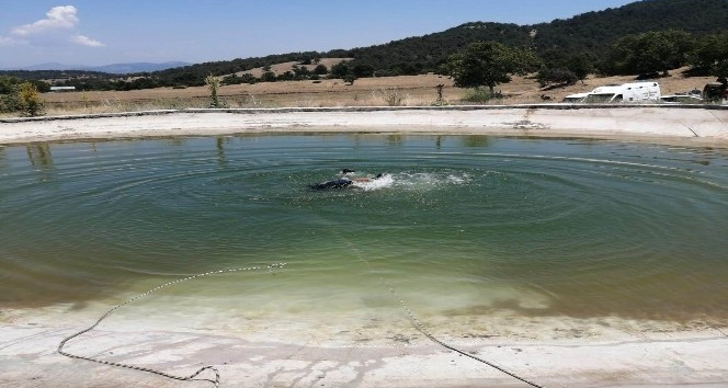 Osmaniye’de yangın söndürme havuzuna giren 2 çocuk boğuldu