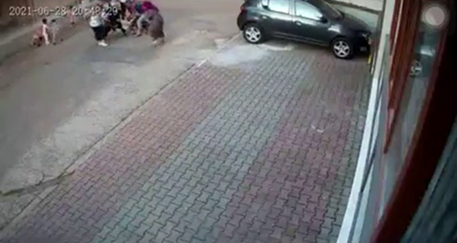 Kartalda pitbull dehşeti: 9 yaşındaki çocuğa 30 dikiş atıldı