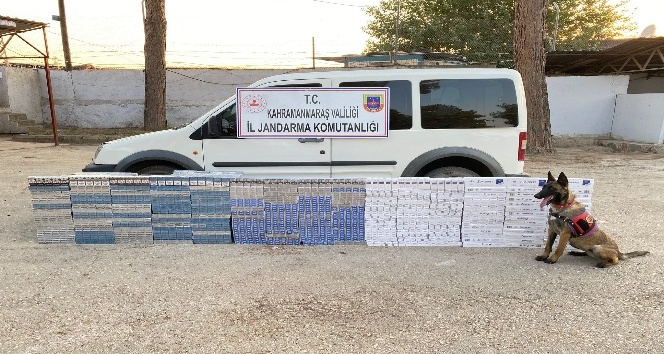 Kahramanmaraş’ta kaçak sigara operasyonu