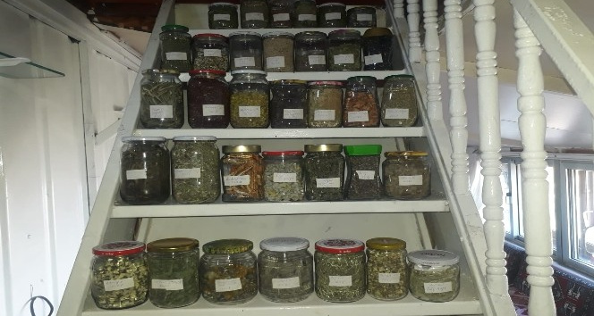 Dağ evini tıbbi ve aromatik bitkiler müzesine dönüştürdü