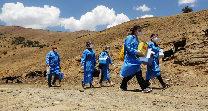 Patika yolları aşan sağlıkçılar, berivanlara korona virüs aşısı ulaştırdı