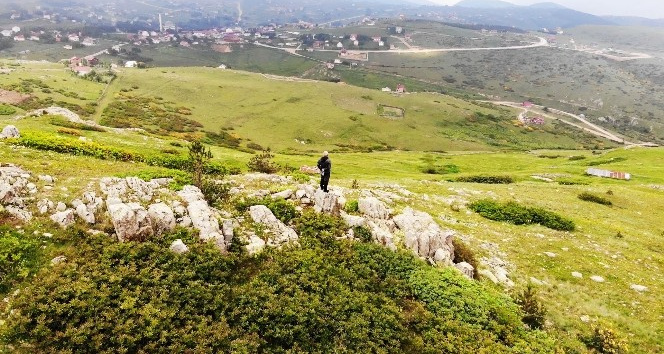 Yayla güzelliği