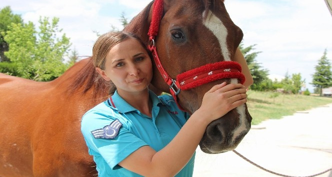 Kadın astsubaylar atları anne şefkati ile eğitiyor