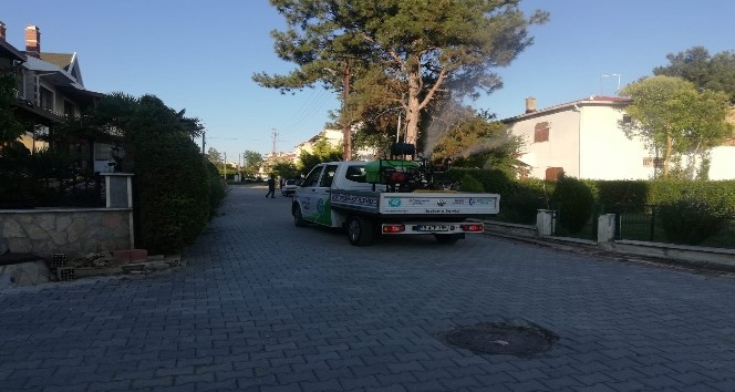 Süleymanpaşa’da vektör ve uçkun mücadelesi titizlikle sürdürülüyor