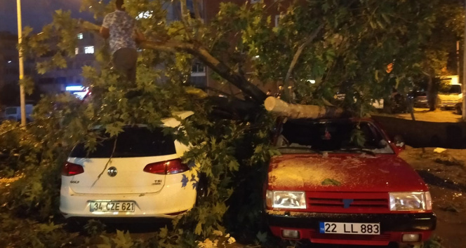 Edirnede fırtına ağaçları araçların üzerine devirdi