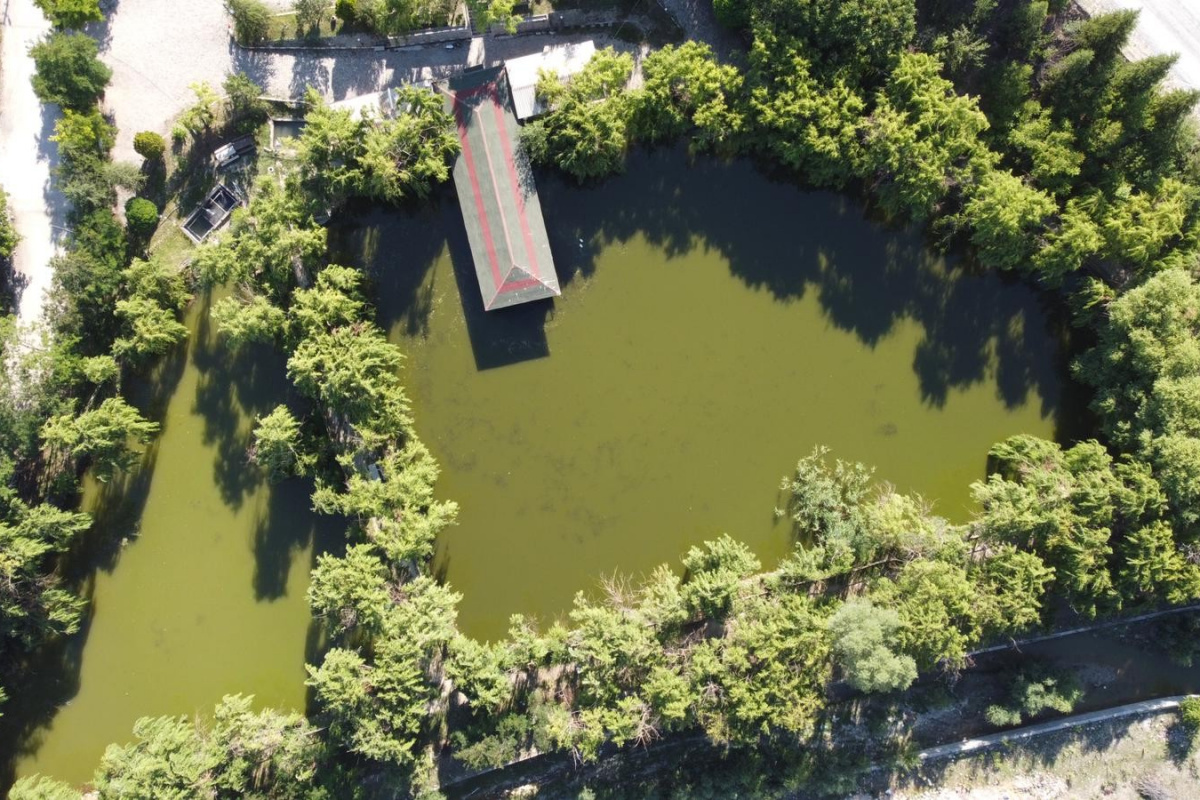 Afyonkarahisar’ın küçük saklı cenneti ‘İnli Balıklı Gölü’