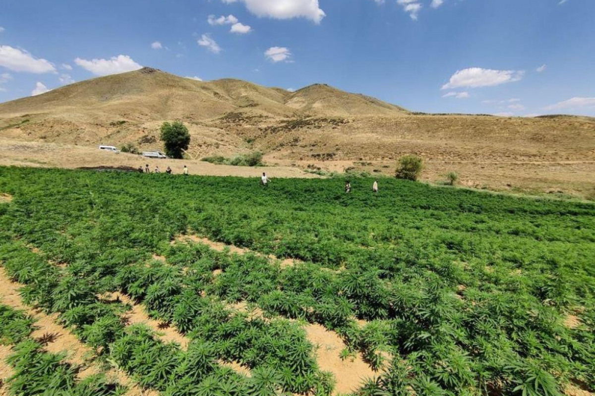 Jandarmadan, terör örgütü PKK'nın finans kaynağına büyük operasyon
