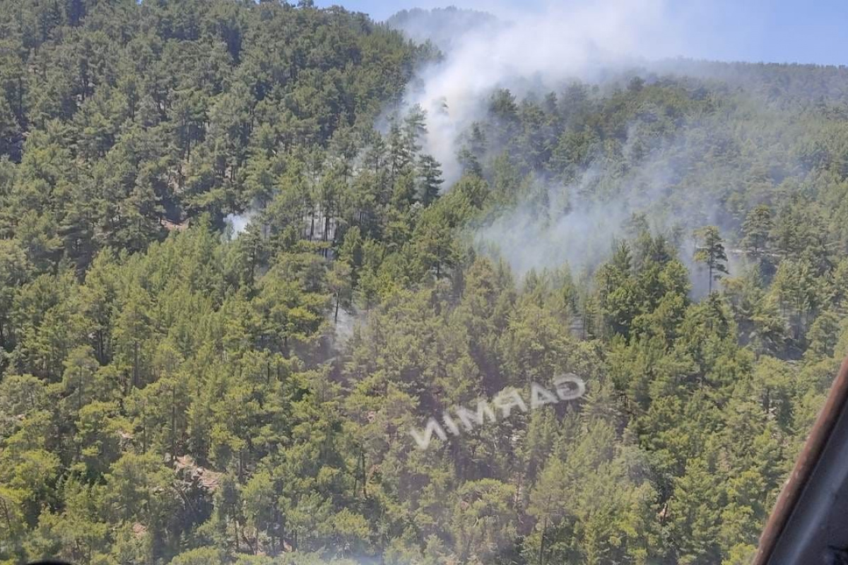 Manavgat’ta çıkan yangında 2 dönümlük kızılçam ormanı zarar gördü