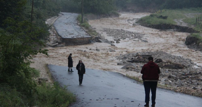 Selin boyutu gün ağarınca ortaya çıktı