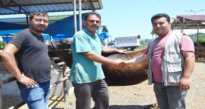 Ordu’da kurban pazarında haraketlilik arttı