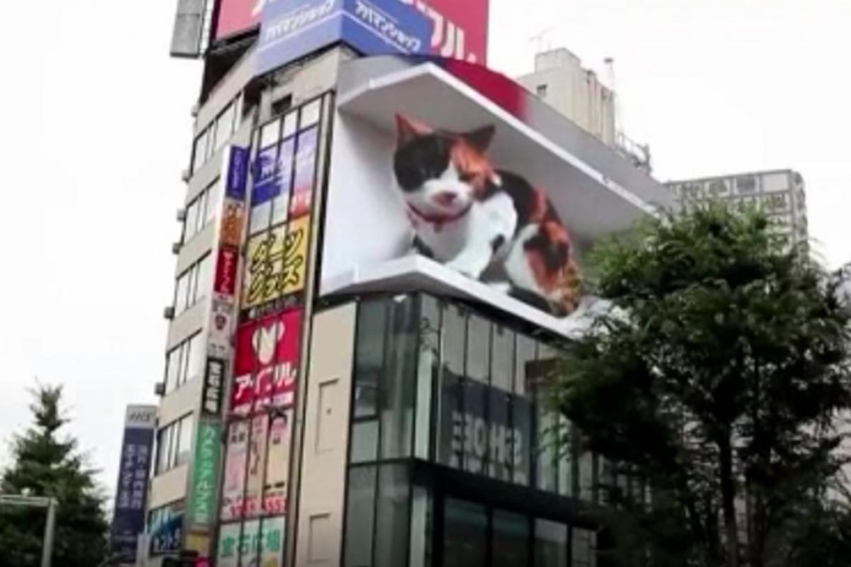 Tokyo�daki 3 boyutlu dev kedi gerçeğini aratmıyor