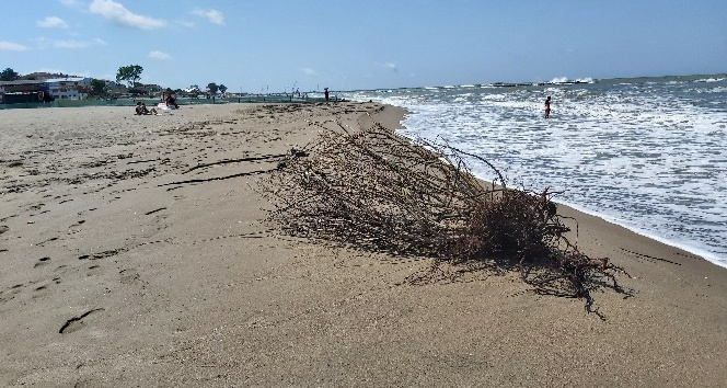 Sağanak yağış ve şiddetli rüzgar Karasu sahilini de vurdu