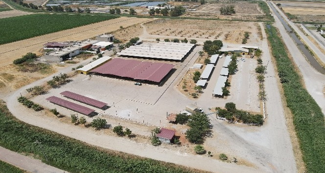 Kurban kesim yerleri belli oldu