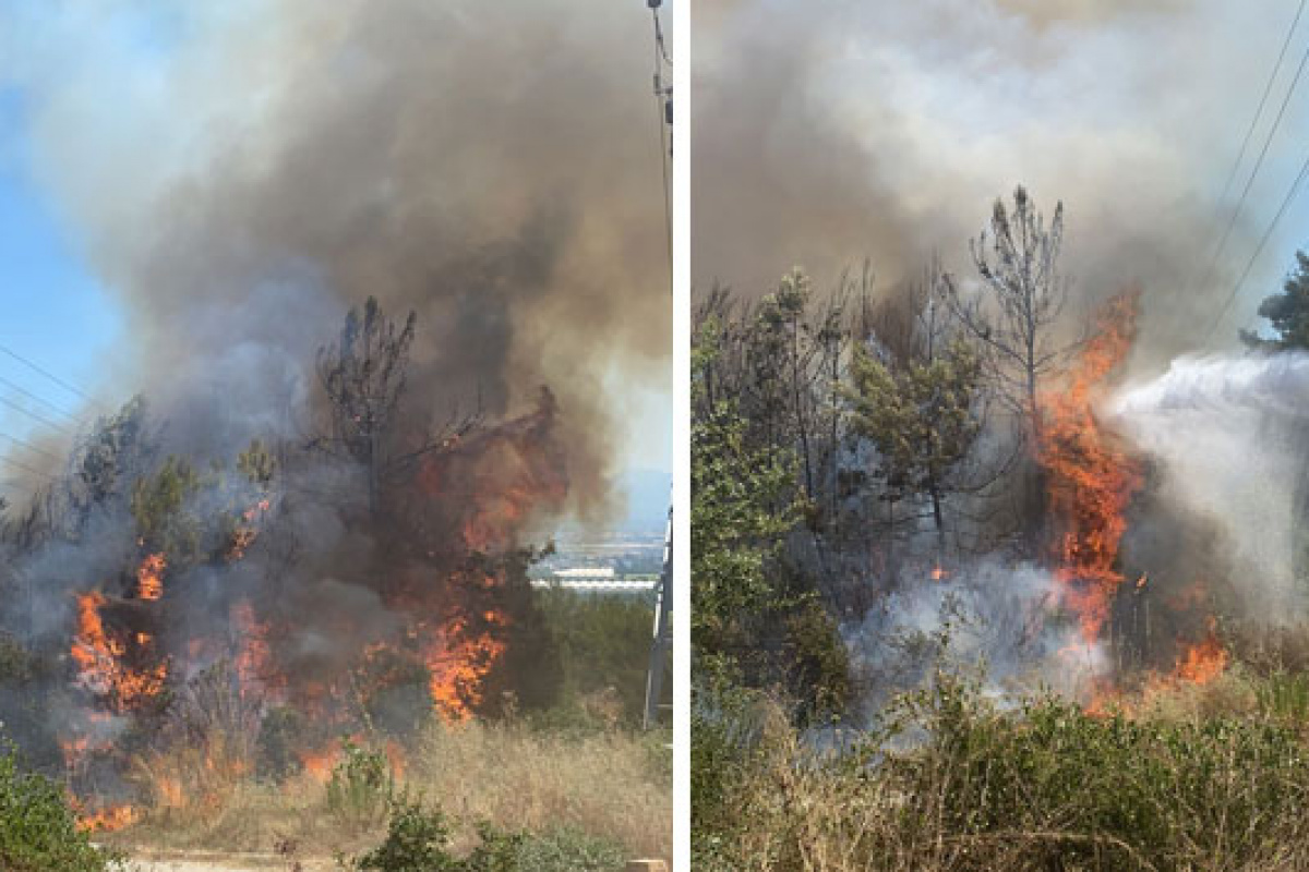 Manavgat’ta çıkan yangında 5 dönüm ormanlık alan zarar gördü