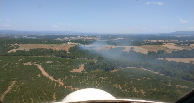 Çanakkale’de orman yangını