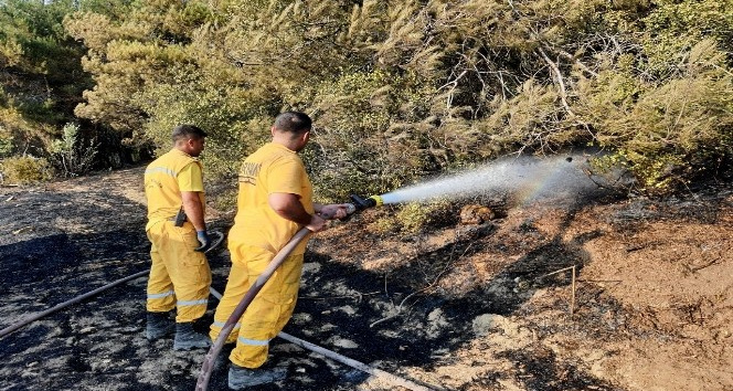 Osmaniye’de tarlada başlayıp ormanlık alana sıçrayan yangın söndürüldü