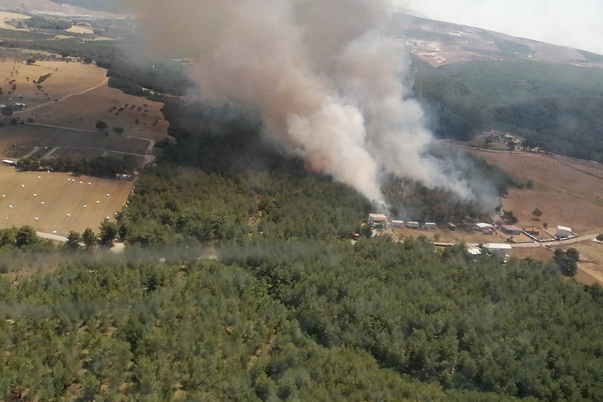 İzmir&#039;deki orman yangını kontrol altında