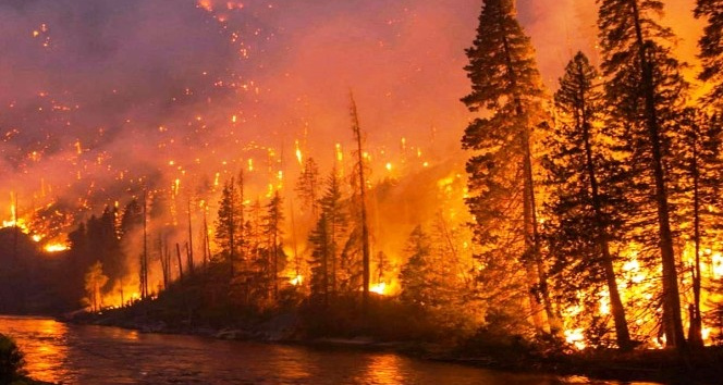 Altınova itfaiyesinden orman yangını uyarısı