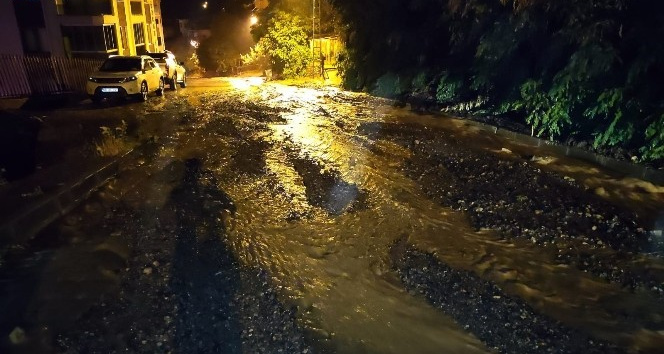 Artvin’de şiddetli yağış nedeniyle yollar çamurla kaplandı