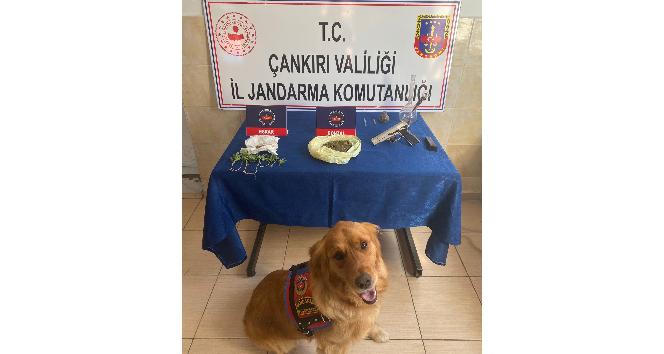 Çankırı’da uyuşturucu operasyonu: 2 gözaltı