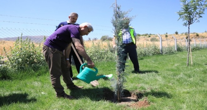 15 Temmuz şehitleri anısına Battalgazi’de 251 fidan dikildi
