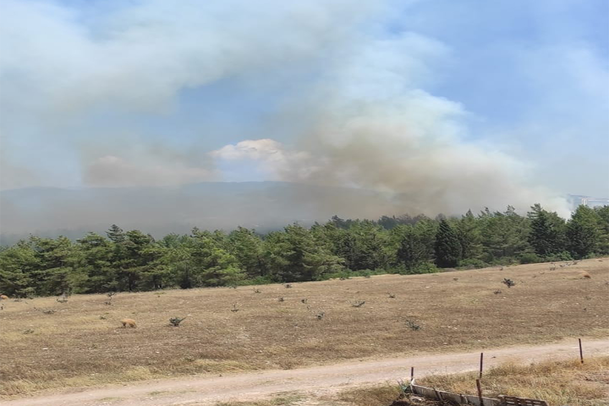 Osmaniye'de çıkan orman yangınını söndürme çalışmaları devam ediyor