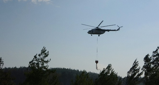 Osmaniye’deki orman yangınında soğutma çalışmaları başlatıldı