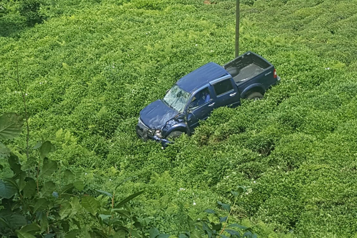 Rize’de araç çay tarlasına uçtu: 2 yaralı