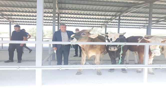 Başkan Arif Teke: ’’Canlı hayvan pazarı ekonomiye can veriyor’’