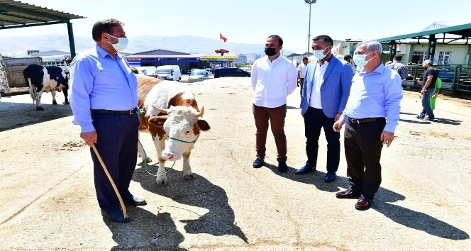 Başkan Çınar, canlı hayvan pazarında inceleme yaptı