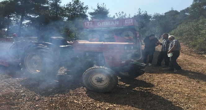 Osmaneli’de 10 hektar ormanlık alan yandı