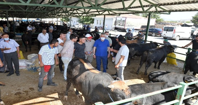 Isparta’da engelli ve yaşlıların kurban kesim işlemini belediye yapacak