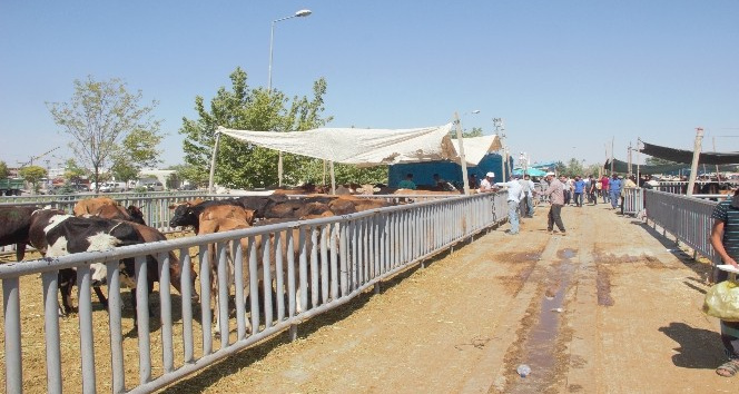 Konya’da Kurban Bayramı arifesinde pazarlarda sakinlik