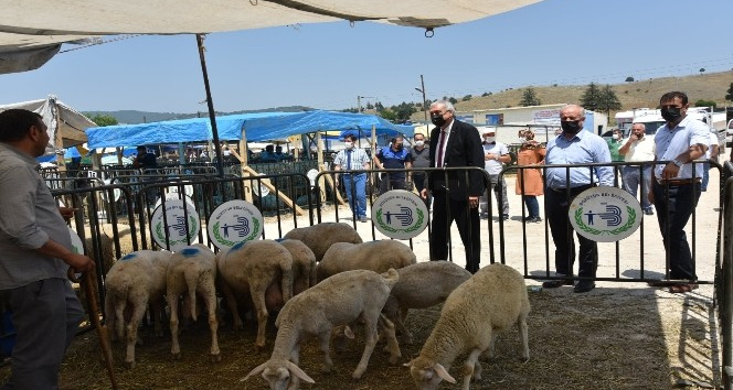 Başkan Bakkalcıoğlu canlı hayvan pazarını ziyaret etti