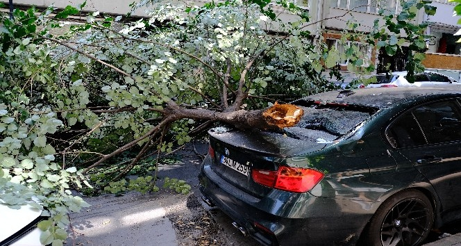Ünlü oyuncunun lüks aracının üzerine ağaç devrildi