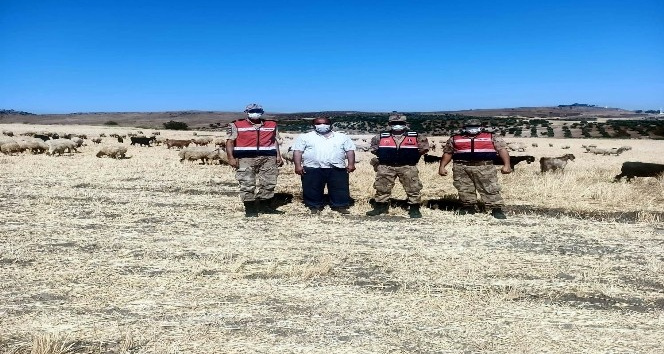 Kayıp çoban ve sürüsü 5 saat sonra bulundu