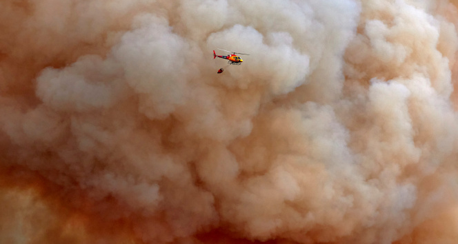 İspanyada korkutan orman yangını