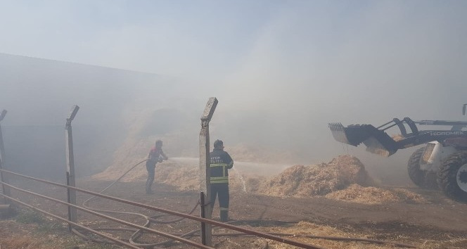 Çine ve Efeler’deki yangınlara büyükşehir itfaiyesi müdahale etti