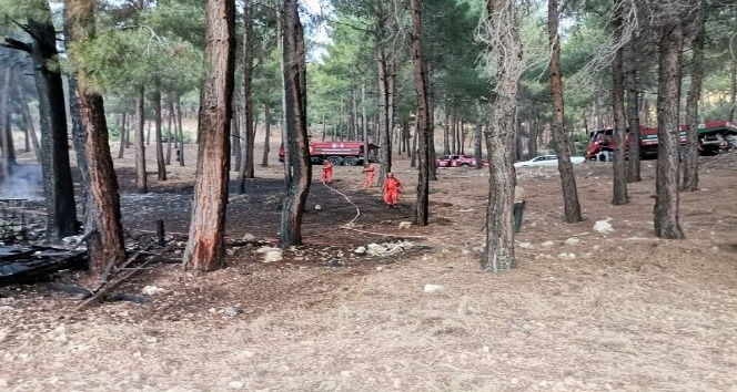 Kahramanmaraş’ta orman yangını