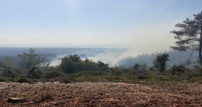 Osmaniye’de çıkan orman yangını büyümeden söndürüldü