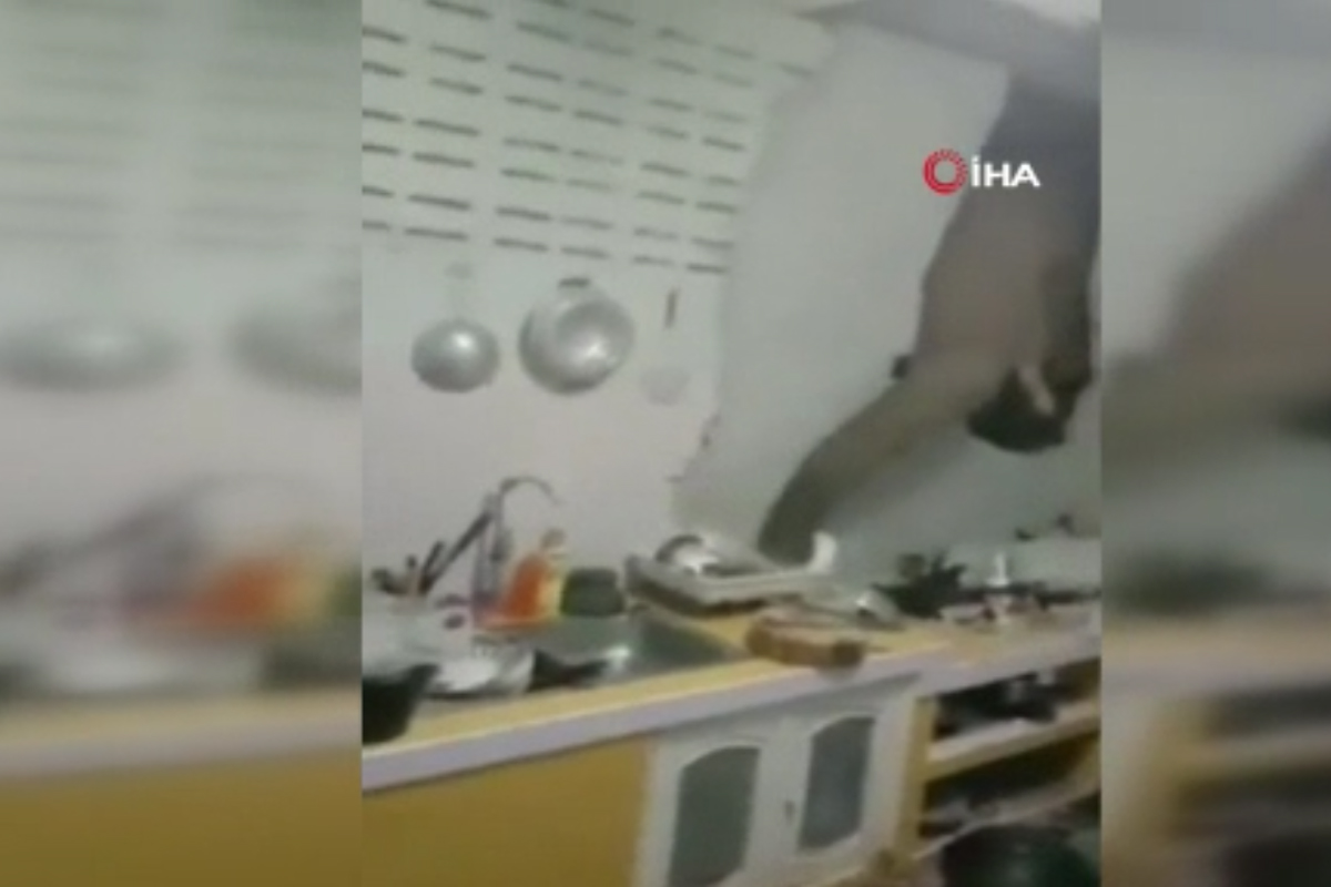 Tayland’da karnı acıkan fil, 1 ay sonra ikinci kez aynı evin mutfak duvarını kırdı