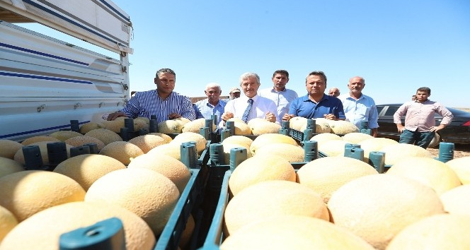 Başkan Tahmazoğlu, çiftçilerle ekti çiftçilerle topladı