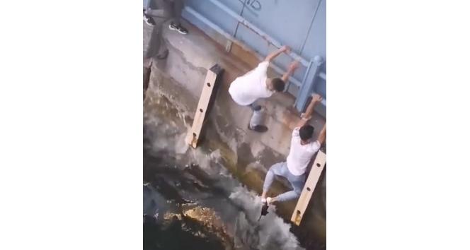 Haliç’e düşen yavru kediyi denizden ayaklarıyla kurtardılar