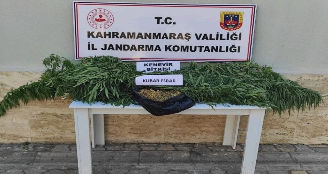 Kahramanmaraş’ta uyuşturucuya 2 gözaltı