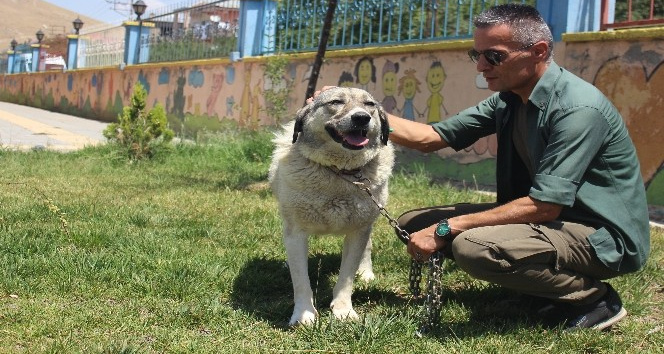 Ölüme terk edilen köpekle engellilerin ‘Dost’luğu devam ediyor
