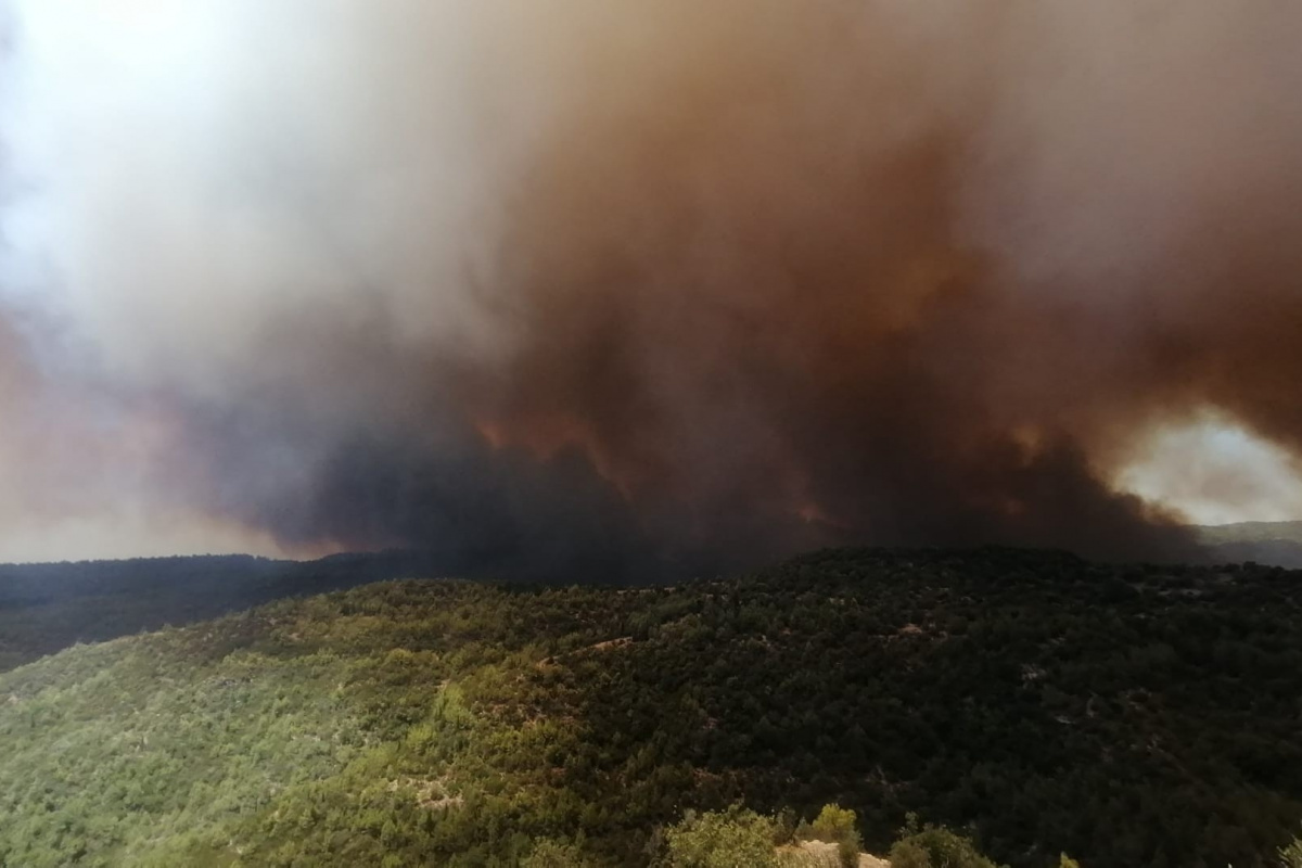 Antalya&#039;daki orman yangını büyüyor! Rüzgar müdahaleyi zorlaştırıyor