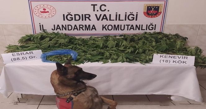 Iğdır’da uyuşturucu tacirlerine ve kaçakçılara geçit yok